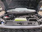 New 2025 Ford F-150 STX SuperCrew Cab 4WD Pickup for sale #0047020F - photo 29