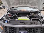 New 2025 Ford F-150 STX SuperCrew Cab 4WD Pickup for sale #0047021F - photo 29