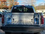 2025 Ford F-150 SuperCrew Cab 4WD Pickup for sale #0047132F - photo 26