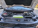 2025 Ford F-150 SuperCrew Cab 4WD Pickup for sale #0047132F - photo 31