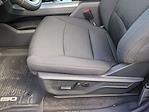New 2025 Ford F-150 XLT SuperCrew Cab for sale #0047208F - photo 10