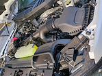 New 2025 Ford F-150 XLT SuperCrew Cab for sale #0047208F - photo 32