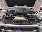 2025 Ford F-150 SuperCrew Cab 4WD Pickup for sale #0047294A - photo 34