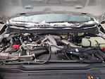 New 2026 Ford F-250 XL Crew Cab for sale #0047376F - photo 29