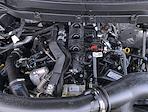 New 2025 Ford F-150 Tremor SuperCrew Cab for sale #0047383F - photo 32