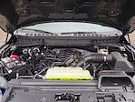 2026 Ford F-150 SuperCrew Cab 4WD Pickup for sale #0047487F - photo 30