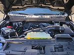 2025 Ford F-150 SuperCrew Cab 4WD Pickup for sale #0047529F - photo 29