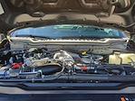 2026 Ford F-350 Regular Cab SRW 4WD Pickup for sale #0047545F - photo 23