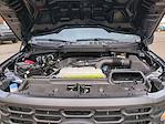 2024 Ford F-150 Regular Cab 4WD Pickup for sale #0059798A - photo 29