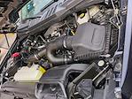 2024 Ford F-150 Regular Cab 4WD Pickup for sale #0059798A - photo 30
