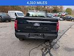 2024 Ford F-150 Regular Cab 4WD Pickup for sale #0059798A - photo 6