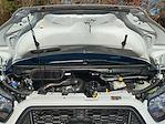 New 2026 Ford Transit 150 Low Roof Empty Cargo Van for sale #00D47067 - photo 29
