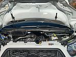 New 2026 Ford Transit 250 Medium Roof Empty Cargo Van for sale #00D47113 - photo 29