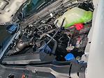 New 2026 Ford F-250 XL Regular Cab for sale #00D47189 - photo 28