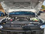 2026 Ford F-250 Regular Cab 4WD Pickup for sale #00D47190 - photo 27