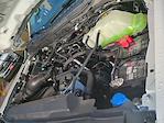 2026 Ford F-250 Regular Cab 4WD Pickup for sale #00D47190 - photo 28