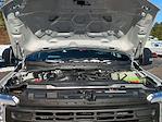 2026 Ford F-350 Regular Cab SRW 4WD Pickup for sale #00D47196 - photo 27