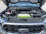 2023 Ford F-150 SuperCrew Cab 4x4 Pickup for sale #01403 - photo 13
