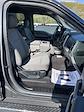 2020 Ford F-150 SuperCrew Cab 4x4 Pickup for sale #03568 - photo 13