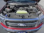 2025 Ford F-150 SuperCrew Cab 4x4 Pickup for sale #03657 - photo 11