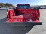 2025 Ford F-150 SuperCrew Cab 4x4 Pickup for sale #03657 - photo 8