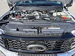 2025 Ford F-350 Crew Cab SRW 4x4 Pickup for sale #03805 - photo 13