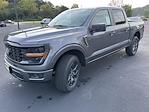 2025 Ford F-150 SuperCrew Cab 4x4 Pickup for sale #04095 - photo 5