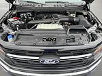 New 2025 Ford F-150 XLT SuperCrew Cab for sale #10122 - photo 14