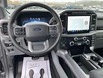 New 2025 Ford F-150 XLT SuperCrew Cab for sale #10122 - photo 24