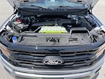 2025 Ford F-150 SuperCrew Cab 4x4 Pickup for sale #11632 - photo 13