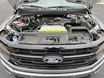 2025 Ford F-150 SuperCrew Cab 4x4 Pickup for sale #13765 - photo 13