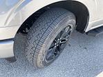 2025 Ford F-150 SuperCrew Cab 4x4 Pickup for sale #1397 - photo 12