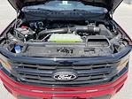 2025 Ford F-150 SuperCrew Cab 4x4 Pickup for sale #1528 - photo 13