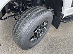 2025 Ford F-350 Regular Cab SRW 4x4 Pickup for sale #20325 - photo 10
