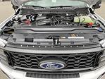 2025 Ford F-350 Regular Cab SRW 4x4 Pickup for sale #20325 - photo 11