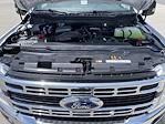 2025 Ford F-350 Crew Cab SRW 4x4 Pickup for sale #20432 - photo 13