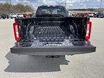 2025 Ford F-350 Regular Cab SRW 4x4 Pickup for sale #20717 - photo 8