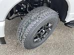 2025 Ford F-350 Regular Cab SRW 4x4 Pickup for sale #21761 - photo 10