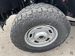 2025 Ford F-250 Crew Cab 4x4 Pickup for sale #23450 - photo 20