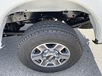 New 2025 Ford F-250 XLT Regular Cab 4x4 Pickup for sale #2365 - photo 10