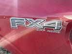 New 2025 Ford F-150 XLT SuperCrew Cab for sale #25041 - photo 12