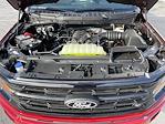 New 2025 Ford F-150 XLT SuperCrew Cab for sale #25041 - photo 15
