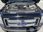 2016 Ford F-350 Crew Cab SRW 4x4 Pickup for sale #27667 - photo 13