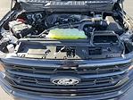 2025 Ford F-150 SuperCrew Cab 4x4 Pickup for sale #2887 - photo 12