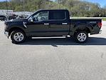 New 2025 Ford F-150 XLT SuperCrew Cab 4x4 Pickup for sale #38104 - photo 7