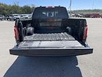 New 2025 Ford F-150 XLT SuperCrew Cab 4x4 Pickup for sale #38104 - photo 9