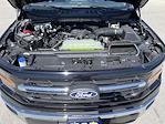 New 2025 Ford F-150 XLT SuperCrew Cab 4x4 Pickup for sale #38104 - photo 13
