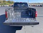 2025 Ford F-150 SuperCrew Cab 4x4 Pickup for sale #43123 - photo 9