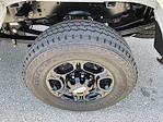 2024 Ford F-350 Regular Cab SRW 4x4 Pickup for sale #43979 - photo 10
