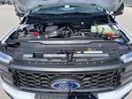2024 Ford F-350 Regular Cab SRW 4x4 Pickup for sale #43979 - photo 11